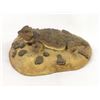 Image 3 : Tom McCain Composition Horned Toad Figurine
