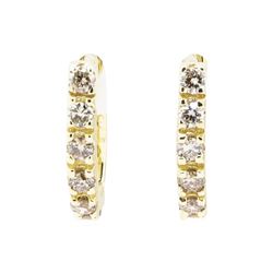 0.85 ctw Diamond Earrings - 14KT Yellow Gold