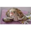 Image 1 : Steiff Turtle Large Mohair Made in Germany #1396920