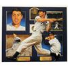 Image 1 : New York Yankees Joe Dimaggio Signed 31X36 Composite Litho Limited Edition /388 PSA