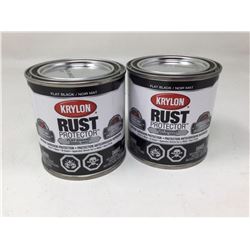 Krylon Rust Flat Enamel (2 x 236ml) Gloss Flat Black