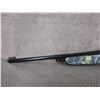 Image 4 : Grizzly BB Gun Pump Up