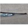Image 8 : Grizzly BB Gun Pump Up