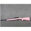 Image 1 : Non-Restricted - Ruger 10/22 in 22 LR