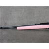 Image 3 : Non-Restricted - Ruger 10/22 in 22 LR