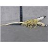 Image 1 : Native Deer Hoof Shooting Stick