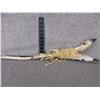 Image 2 : Native Deer Hoof Shooting Stick