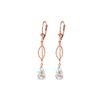 Image 1 : Genuine 3 ctw Aquamarine Earrings 14KT Rose Gold - REF-54Z2N
