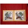 Bird Plaques Blue Jays Universal Statuary 1951 #1396026