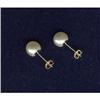 Image 1 : REAL AKOYA PEARL STUD EARINGS IN 14k GOLD  #1434824