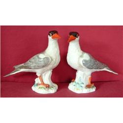 Pair Meissen Bird Figurines ROYAL TERNS  #1378963