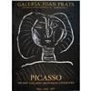 Image 1 : Picasso   #1398118