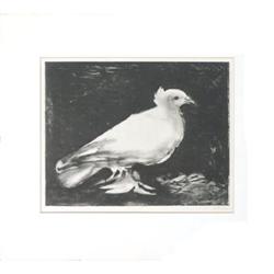 Picasso   Dove of Peace #1398129