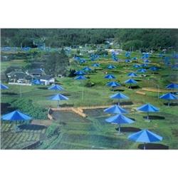 Signed Christo   Blue Umbrellas #1398134