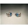 14K WG Blue Topaz Garnet Diamond Heart Earrings#1433046