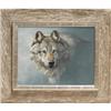 Image 1 : Jorge Mayol, Wolf, Original Acrylic #60136 #1433267