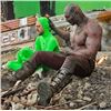 Image 4 : Guardians of the Galaxy (2014) - Rocket (Sean Gunn) Green Screen Suit