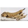 Image 1 : UNCLAIMED LOT OF 3 WOOD LEOPARD ORNAMENTS