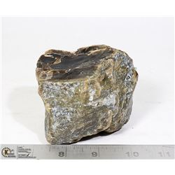 PETRIFIED WOOD SPECIMEN 446.4 GRAMS