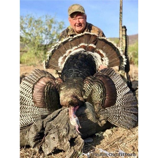 COUES OUTFITTERS:  Tucson, Arizona