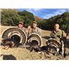 Image 2 : COUES OUTFITTERS:  Tucson, Arizona