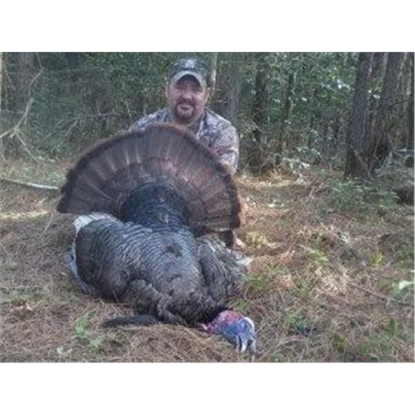 WILLIAMSON OUTFITTERS: Maryland, USA