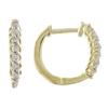 Image 1 : Diamond Hoop Earrings #1385526