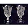 Image 1 : Heisey "Orchid" Goblets #1385896
