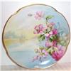 Image 1 : Hand Painted Stouffer Cherry Blossom  Plate #1387214