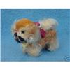 Image 1 : c.1950? Steiff Pekinese Peky Dog w/ label & #1388094