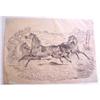 Image 1 : 3 Horses in Pen & Ink #1415914