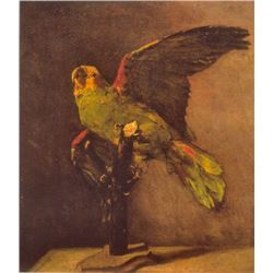 Van Gogh - Parrot