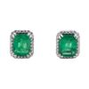 Image 1 : 3.71 ctw Emerald and Diamond Earrings - Platinum