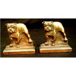 Antique  Pair of Edwardian Bulldog Bookends #1392475