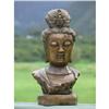 Old Bronze Buddhist Bodhisattva Bust of Kwan #1399056