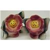 Image 1 : LOVELY  TULIPS -  SALT&PEPPER  #1400347