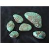 Image 1 : 6 Spiderweb Turquoise Cabs #1400614