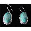 Image 1 : Turquoise and Sterling Earrings #1400617