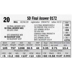 SD Final Answer 0172