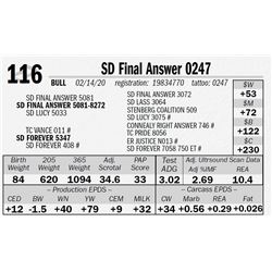 SD Final Answer 0247