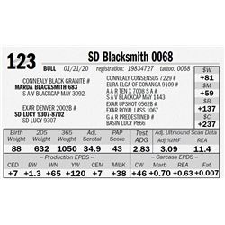 SD Blacksmith 0068