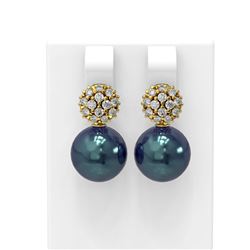 0.63 ctw Diamond & Pearl Earrings 18K Yellow Gold - REF-71R6K