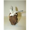 Image 2 : SMALL SEAGULL CARVING