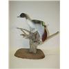 Image 2 : FLYING PINTAIL DECOY