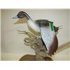 Image 3 : FLYING PINTAIL DECOY