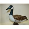 Image 2 : CANADA GOOSE CARVING
