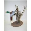 Image 1 : FLYING MALLARD DECOY