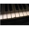 Image 6 : STEINWAY GRAND PIANO