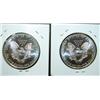 Image 2 : 1995 SILVER EAGLE COINS