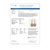 Image 4 : 13.82 ctw Morganite & Diamond Victorian Earrings 14K Yellow Gold - REF-579H8R